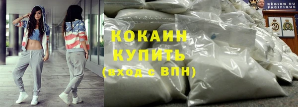 дмт Инсар