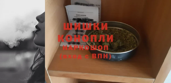 ALPHA PVP Инта
