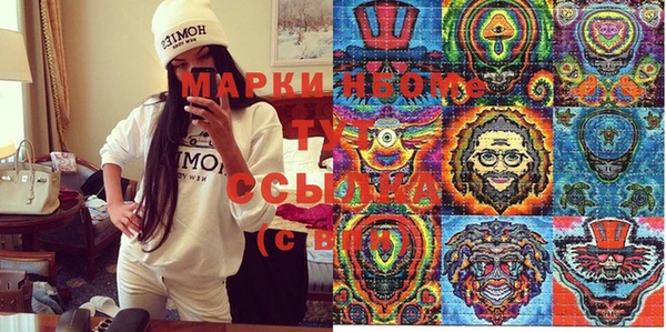 дмт Инсар