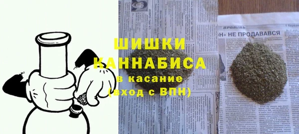 дмт Инсар