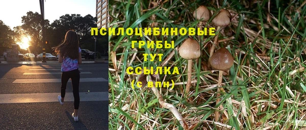 дмт Инсар