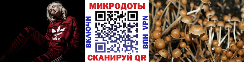 Купить  Черногорск  Псилоцибиновые грибы MAGIC MUSHROOMS 